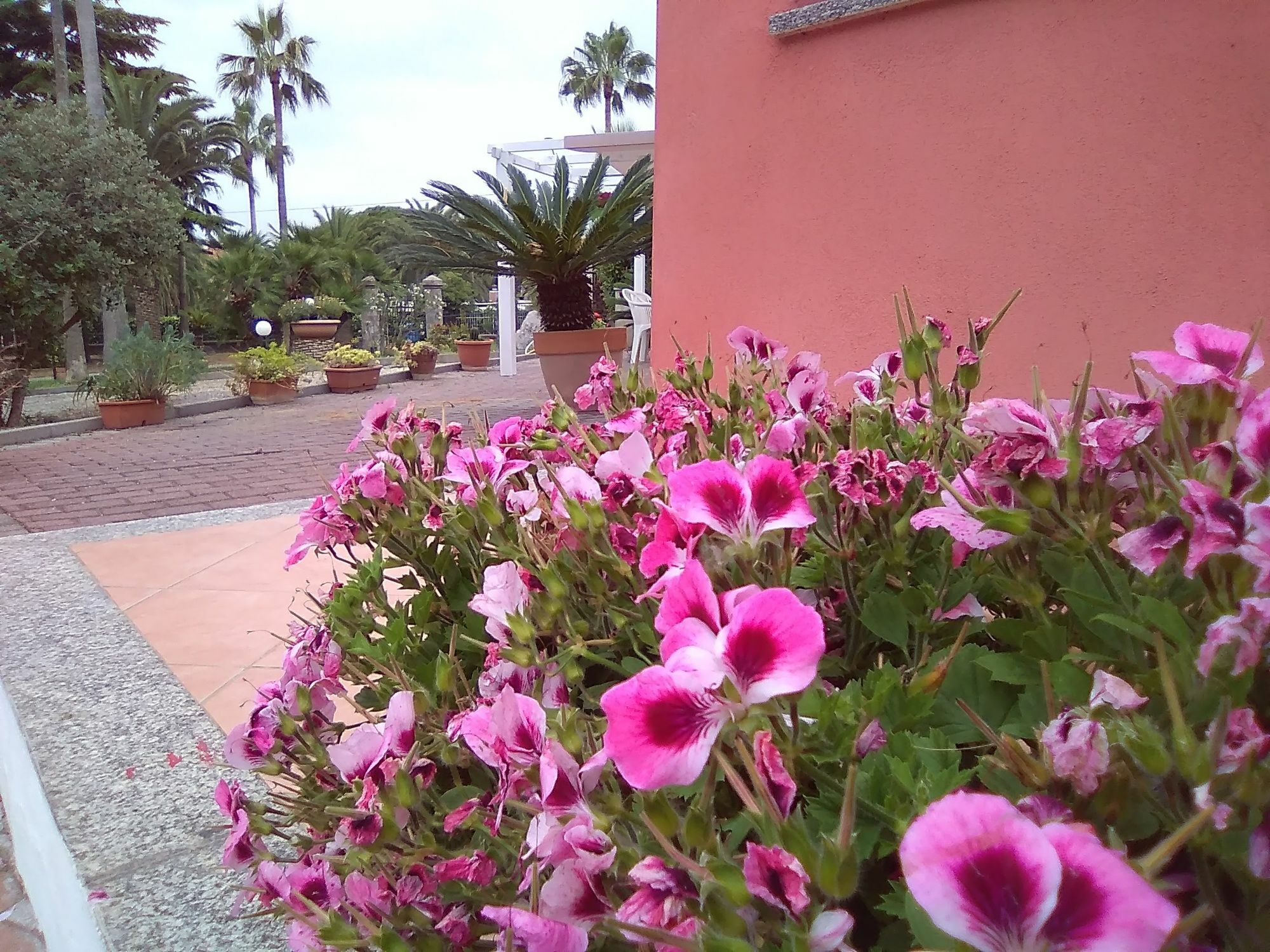 Villa Paola Loano Exterior foto
