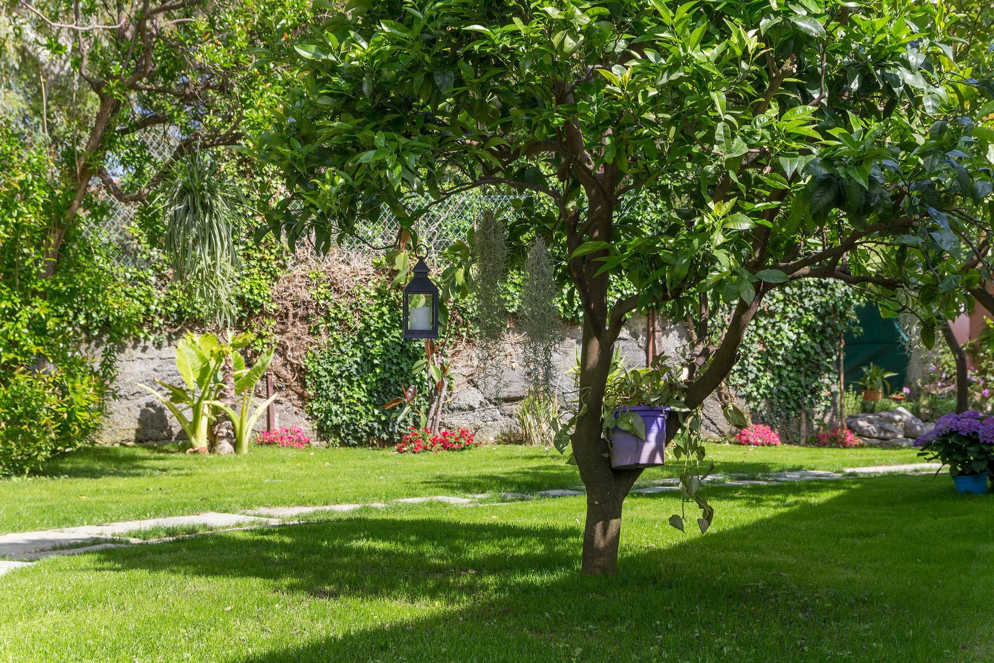 Villa Paola Loano Exterior foto