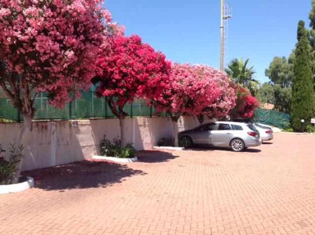 Villa Paola Loano Exterior foto